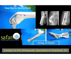 Contact to Pet Orthopedic Specialist In Pearland, TX.