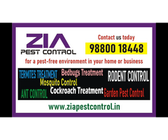 Zia Pest control | Cockroah pest treatment service 899/- only | 1902