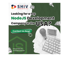 Cost-effective NodeJS Development Services in USA