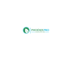 Phoenix Pro Landscaping