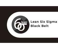 Elevate Your Career with six sigma black belt certification