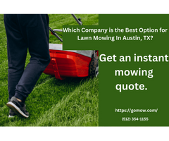 Which Company is the Best Option for Lawn Mowing In Austin, TX?