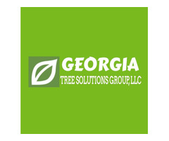 Georgia Tree Solutions Group LLC