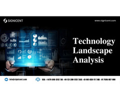 Technology Landscape Analysis​ - Signicent LLP