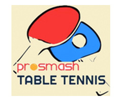 Best Table Tennis Coaching Near NJ: Top Programs