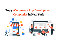 Top Magneto ecommerce Website Development Company in New York