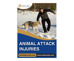 Take Action: Expert Care for Animal Attack Injury Victims!