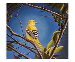 Buy Bird Oil Paintings on Canvas at Affordable Price - Anneshascanvas