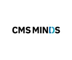 Professional WordPress Development in Raleigh, NC – Transform Your Online Presence with cmsMinds