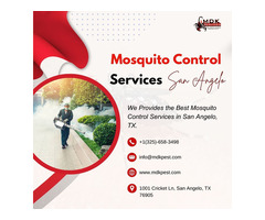 Mosquitos, Pest & Termite Control Services in San Angelo, TX