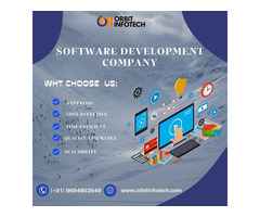 Custom Software Development Solutions for Your Business – Orbit Infotech