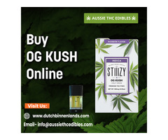 Buy OG Kush Stiiizy Pod Online at Affordable Price