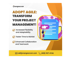 Streamline Your Projects with Orangescrum Agile PM Software - Try It Now!