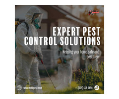 Pest Control Agency Near Me: MDK Services - Safe & Sure