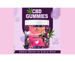 Buy Organic CBD Gummies for Pain Relief in the USA