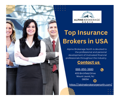 Top Insurance brokers in USA– Alpine Brokerage