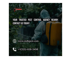 Pest Control Agency Near Me: MDK Services - Safe & Sure