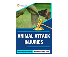 Animal Attack Injuries – Injury Rely