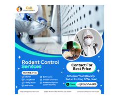 Call to Pest Control | Rodent Control Services in Felt, North Carolina