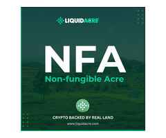 LiquidAcre | Revolutionizing the Crypto Market with NFA: Fast 60-Second Land Transactions