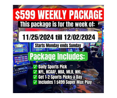 This package includes the $499 Super Max play, our top-tier offering for the week.