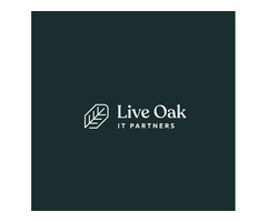 Austin Tech Consulting | Goliveoak.com