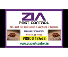 Bedbug Treatment | white field Bangalore | 100% safe Service | 4029