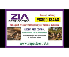 Get rid of Rodent | Rodent control treatment | hotels | 4029 | apartments