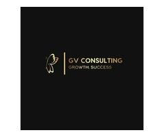 GV Consulting