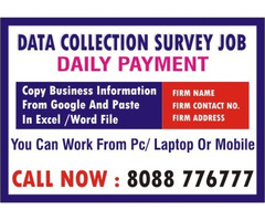 15 best Survey Jobs | Tips to mke income from Mobile | 4029 | Daily payout