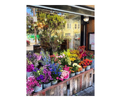 Florist in San Francisco | Bell & Trunk Flowers