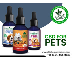 Premium CBD for Pets Health & Happiness!