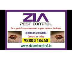 Bed Bug Treatment | effective Bed Bug treatments | Bangalore Zia Pest Control | 5030