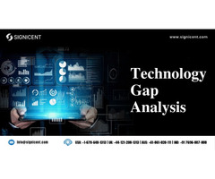 Technology Gap Analysis Services - Signicent LLP