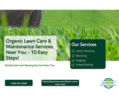 Organic Lawn Care & Maintenance Services Near You – 10 Easy Steps!