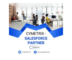 Salesforce Implementation Partners