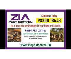 Rodent Pest Control | Trained technician | Residences and Apartments | 5016