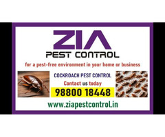 We offer a highly effective cockroach treatment | Zia Pest Control | 5058