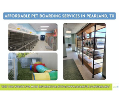 Affordable Pet Boarding Services In Pearland, TX