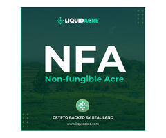 LiquidAcre | Revolutionizing the Crypto Market with NFA: Fast 60-Seconds Land Transactions