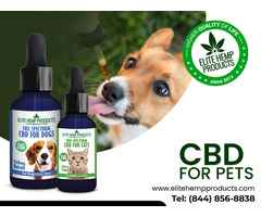 Soothe Your Pet Naturally with CBD for Pets: Comfort in Every Treat!