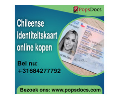 Koop Chileense kaarten online op PopDocs: